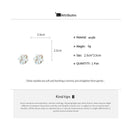 Brincos Femininos de Camélia Branca fairycore